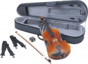 Viola