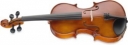 Viola