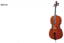 Violoncel