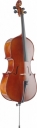 Violoncel