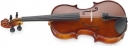 Vioara