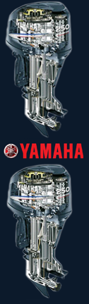Motoare ambarcatiuni outboard