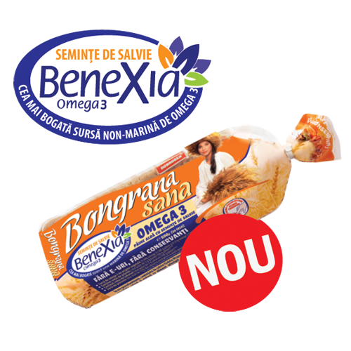 Paine Bongrana Sana