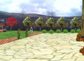 Proiectare peisagistica 3D