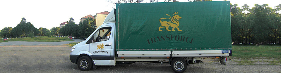 Transport intern de marfa regim grupaj