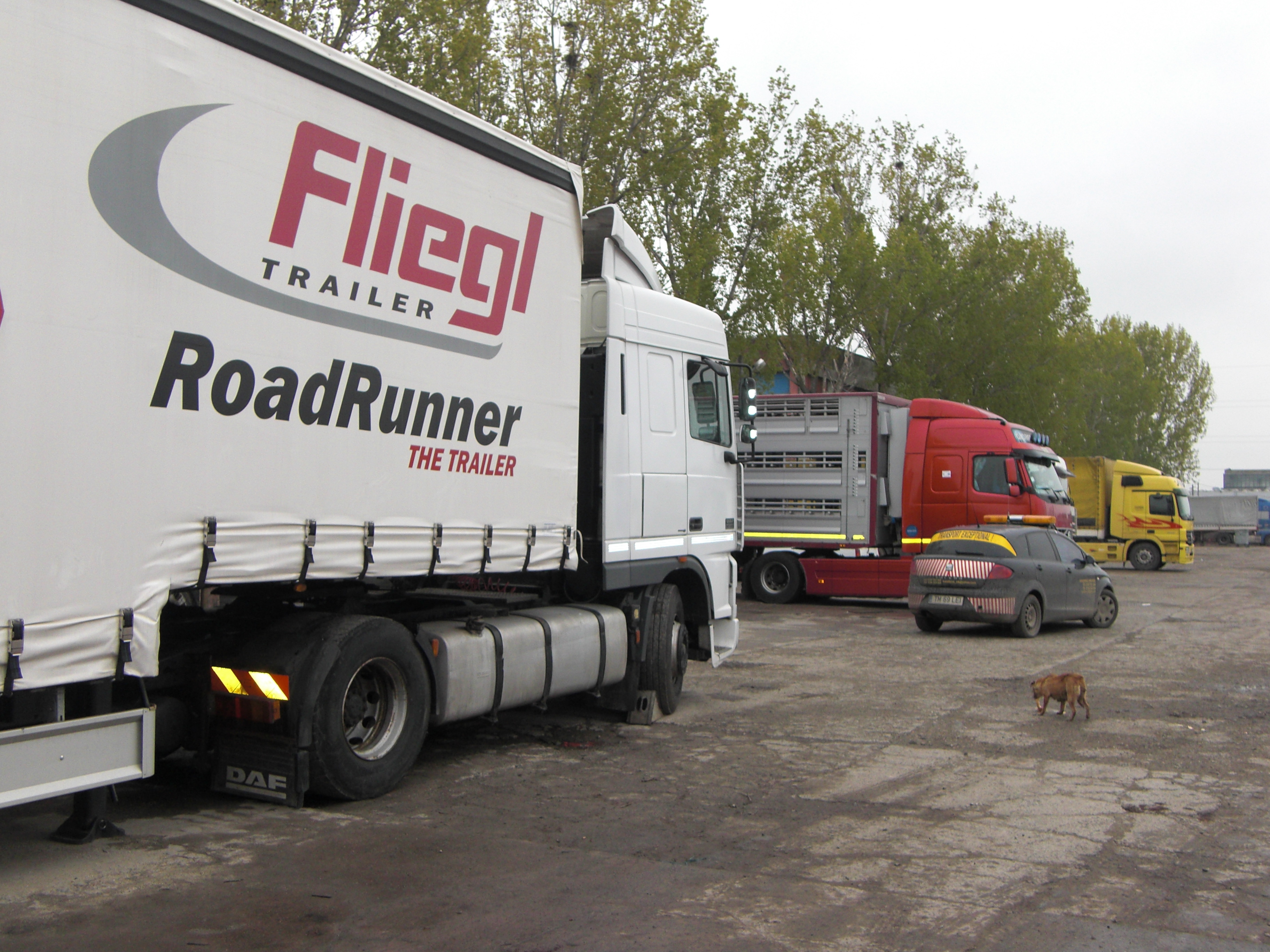 Transport international de marfuri Timisoara