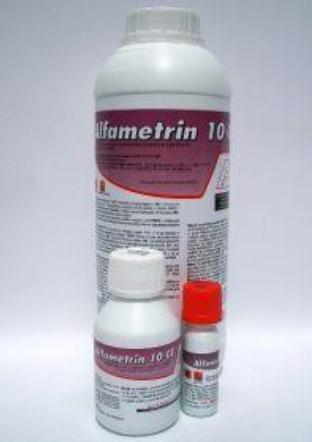 Insecticide