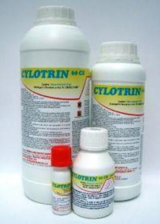 Insecticide