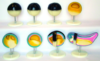 Instrumente botanica si zoologie