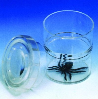 Instrumente si accesorii ecologie