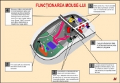 Planse laboratoare informatica