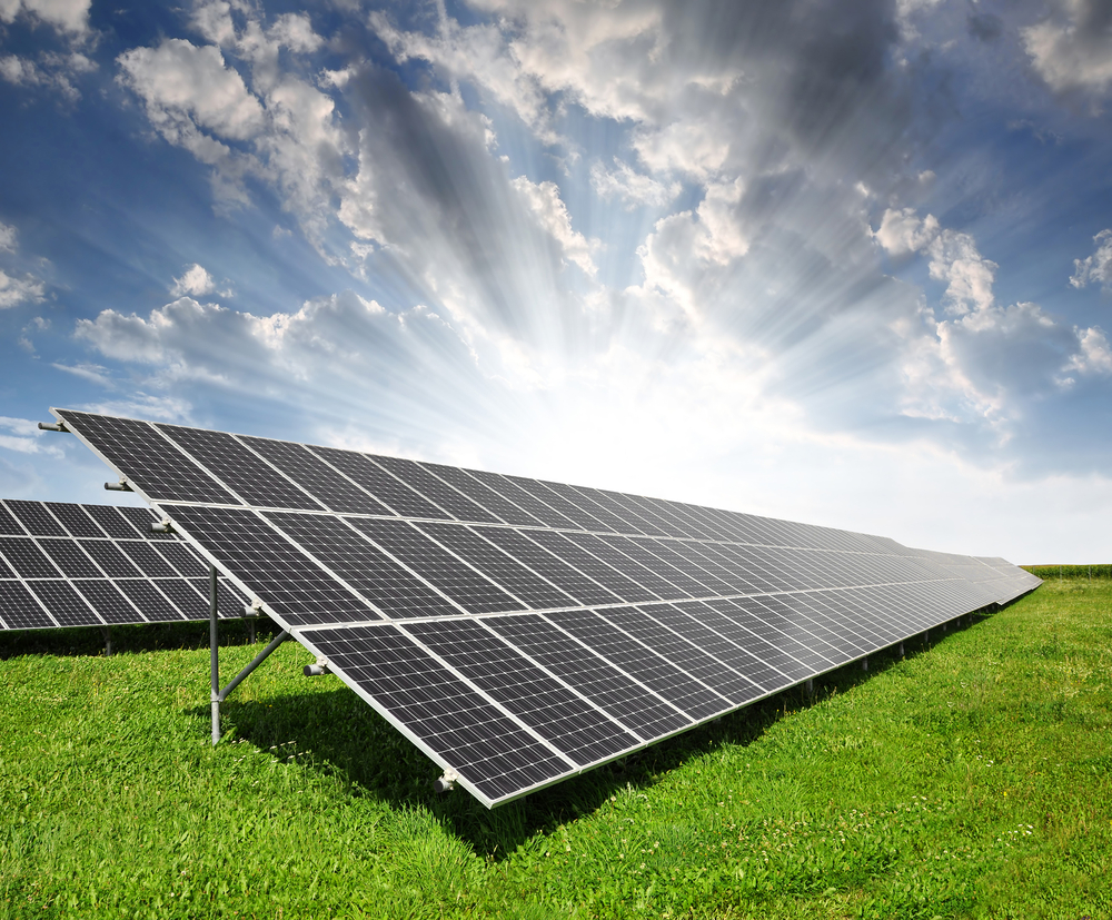Panou solar fotovoltaic Jinko 245 W