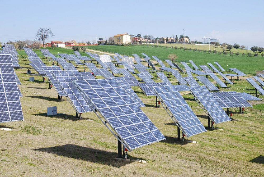 Panou solar fotovoltaic Jinko 245 W