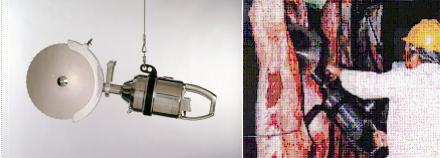 Fierastrae de taiat, despicat carcase