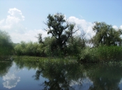 Croaziere Delta Dunarii