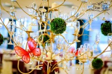 Decoratiuni nunta