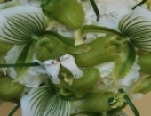 Aranjamente florale pentru mese