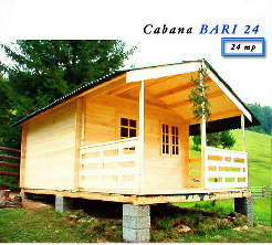 Case de vacanta