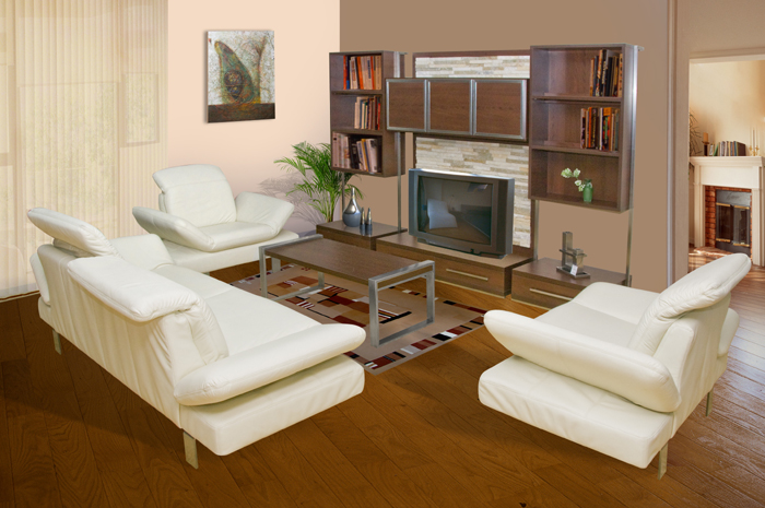 Mobilier camera de zi