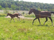 Team-building Bucuresti