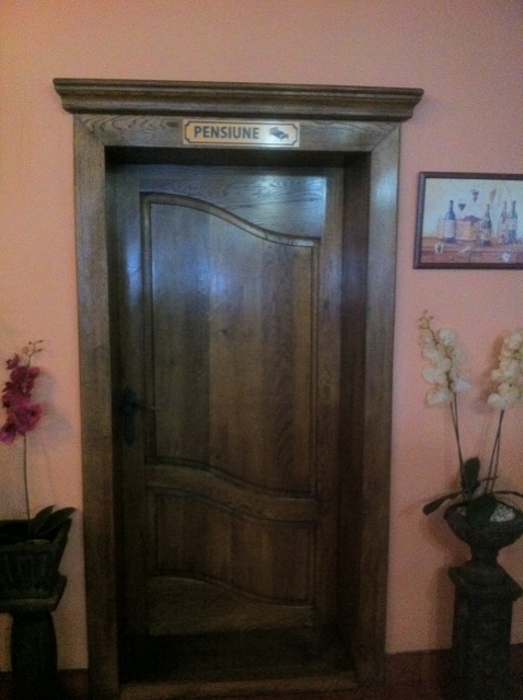 Usi Interior Mures
