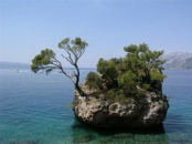 Vacanta Brela