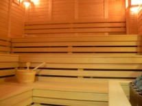 Constructii saune