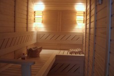 Constructii saune