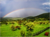 Cazare camera 5 locuri