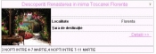 Sejur Florenta