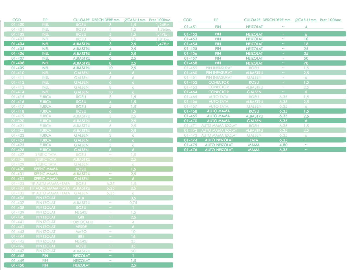 Papuci electrici auto