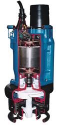 Electropompe submersibile