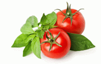 Ketchup plic