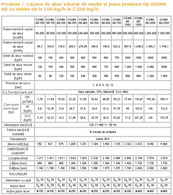Producator cazane de abur saturat