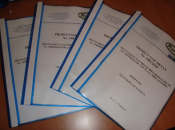 Executie bransament gaze