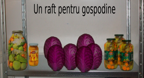 Kit rafturi metalice