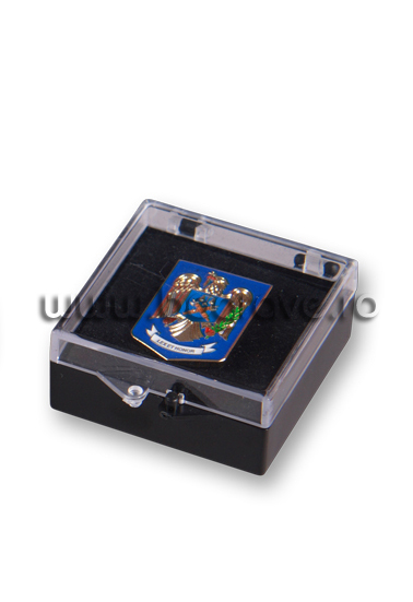Caseta plastic insigne