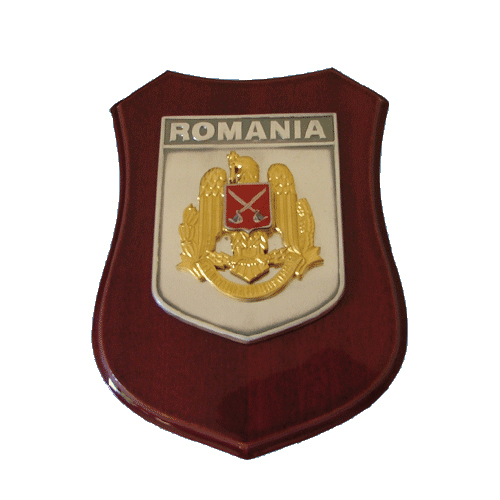 Trofee personalizate