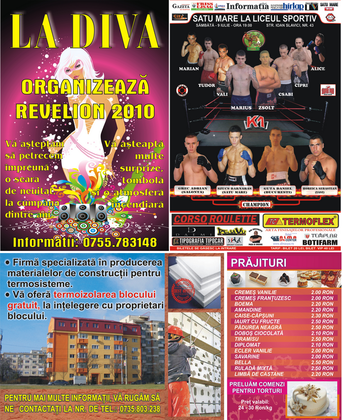 Afise Satu Mare