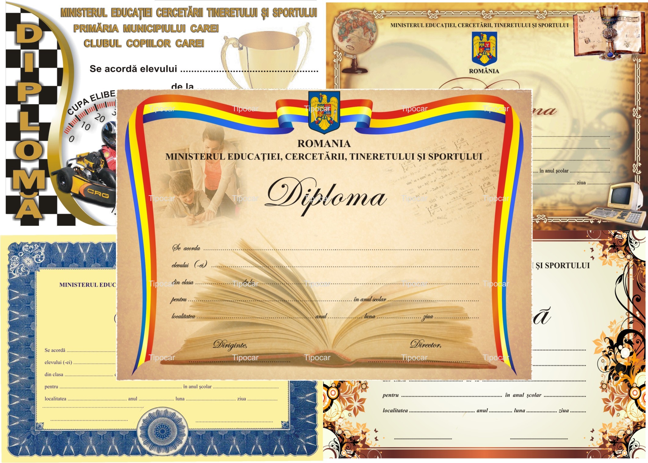 Diplome Satu Mare