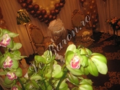 Decoratiuni nunta Craiova