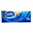 Distributie produse uz casnic Satu Mare