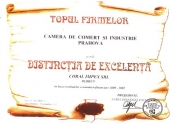 Atestate si diplome
