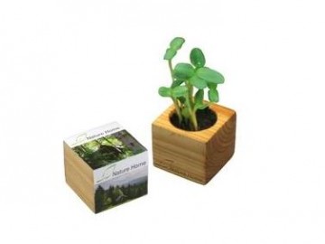 Cadouri ecologice
