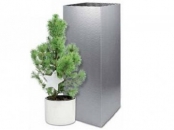 Cadouri ecologice